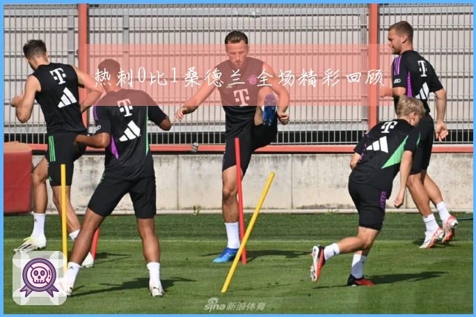 热刺0比1桑德兰 全场精彩回顾